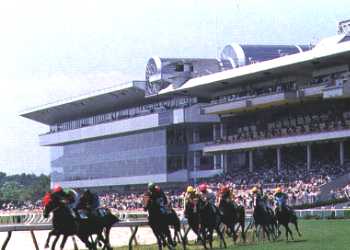 JRA新潟競馬場