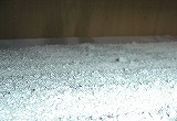 麹菌が繁殖した米